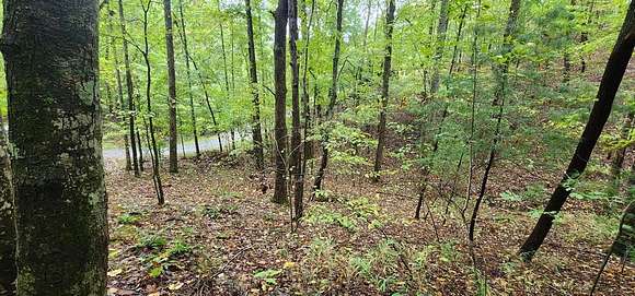 1.16 Acres of Residential Land for Sale in Ellijay, Georgia