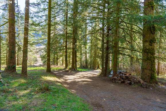 6.77 Acres of Land for Sale in Tillamook, Oregon