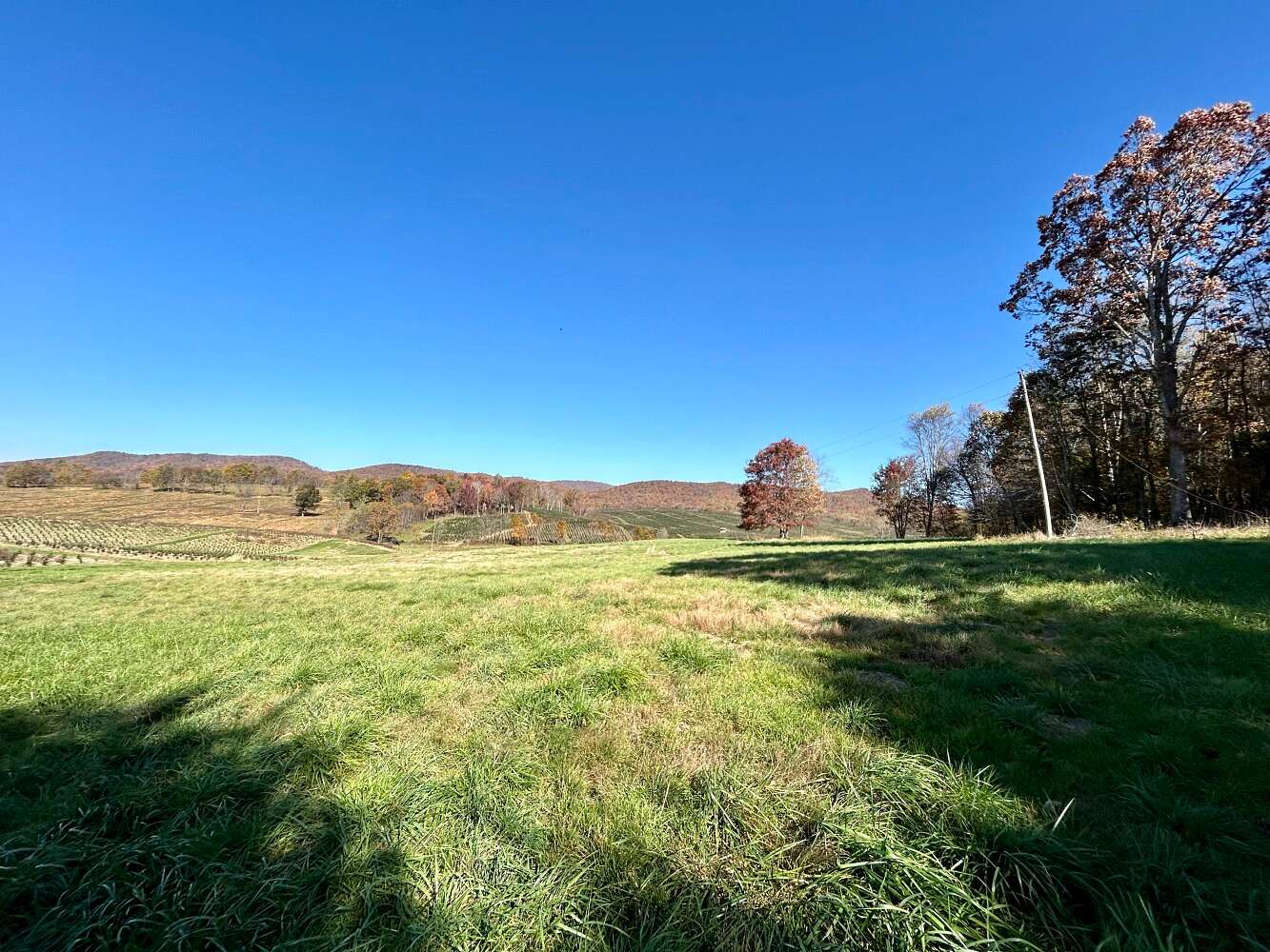 13 Acres of Land for Sale in Sugar Grove, Virginia