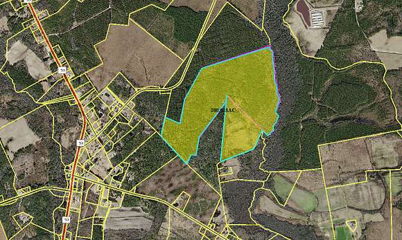 203.55 Acres of Recreational Land for Sale in White Oak, North Carolina