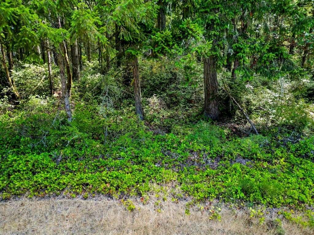 Land for Sale in Anderson Island, Washington