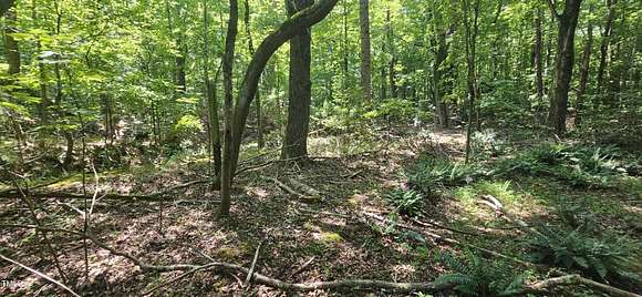 13.7 Acres of Land for Auction in Winston-Salem, North Carolina