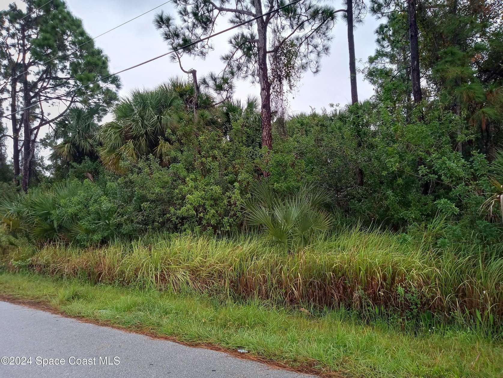 0.26 Acres of Land for Sale in Palm Bay, Florida