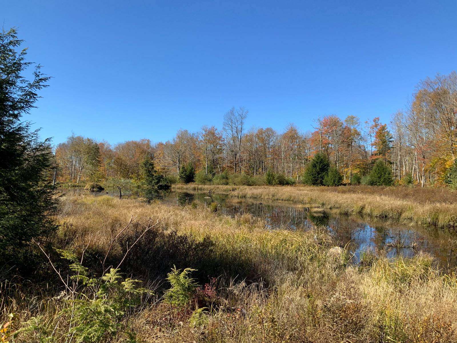 62.5 Acres of Recreational Land for Sale in Stratford, New York