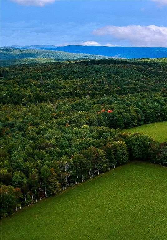 15.46 Acres of Land for Sale in Blenheim Town, New York