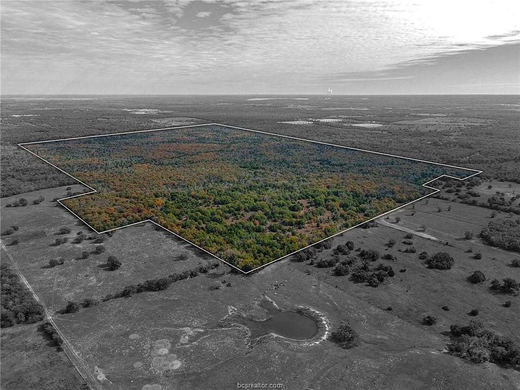 599.78 Acres of Recreational Land for Sale in Kosse, Texas