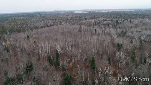 40 Acres of Land for Sale in Newberry, Michigan