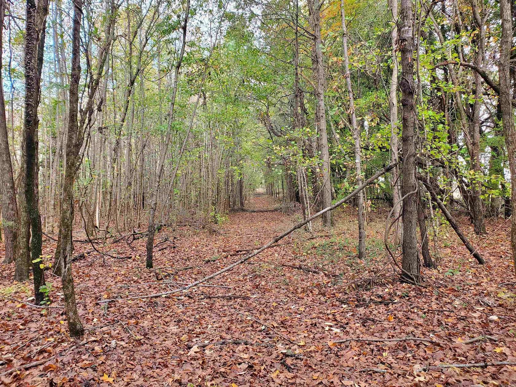 20 Acres of Recreational Land for Sale in Pollard, Arkansas