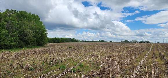 30 Acres of Land for Sale in Elsberry, Missouri