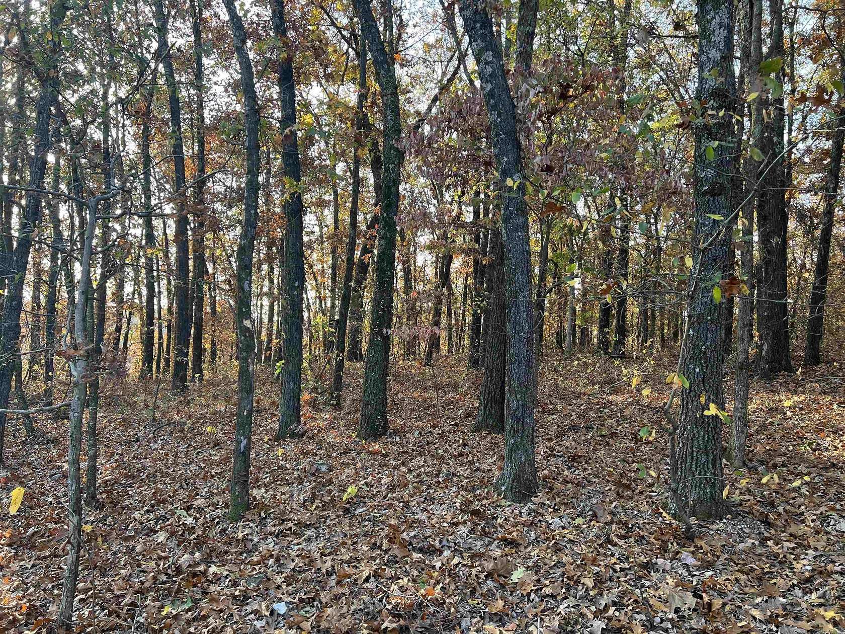 37.64 Acres of Land for Sale in Harrison, Arkansas