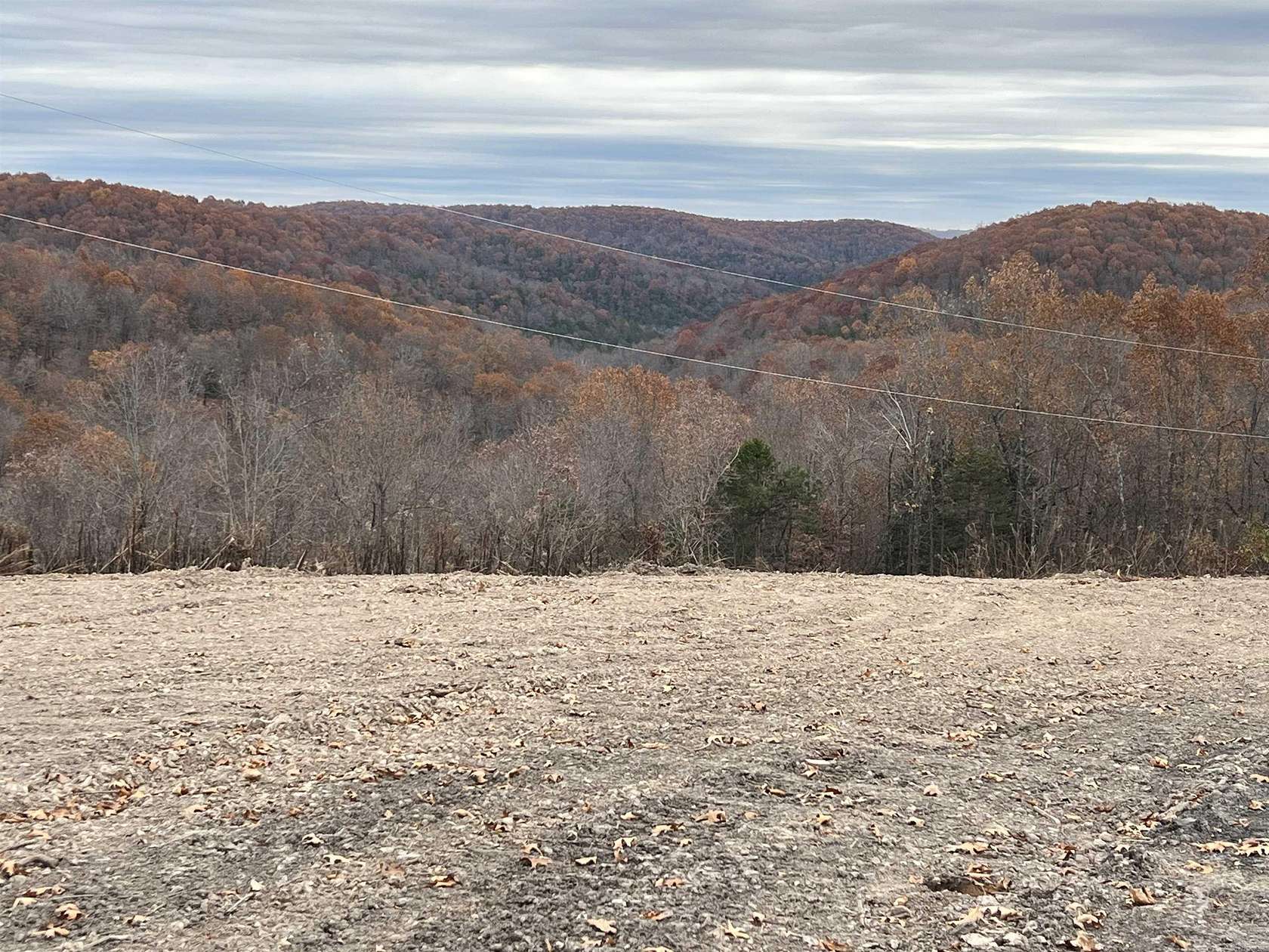 37.6 Acres of Recreational & Residential Land for Sale in Omaha, Arkansas