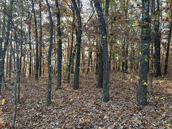 37.6 Acres of Land for Sale in Omaha, Arkansas