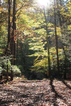 43.7 Acres of Recreational Land for Sale in Webster Springs, West Virginia