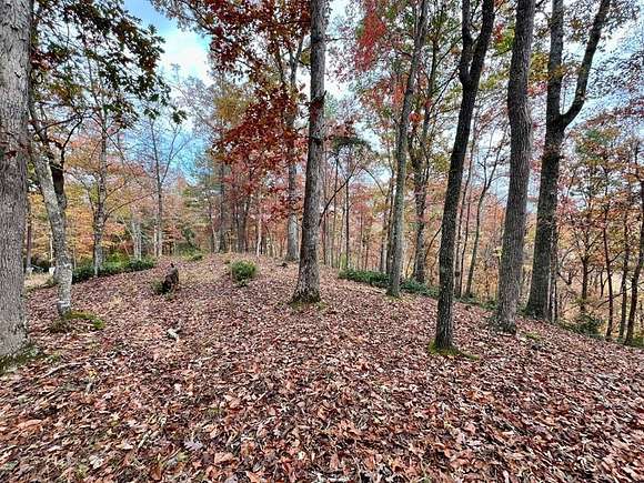 1.18 Acres of Residential Land for Sale in Brasstown, North Carolina