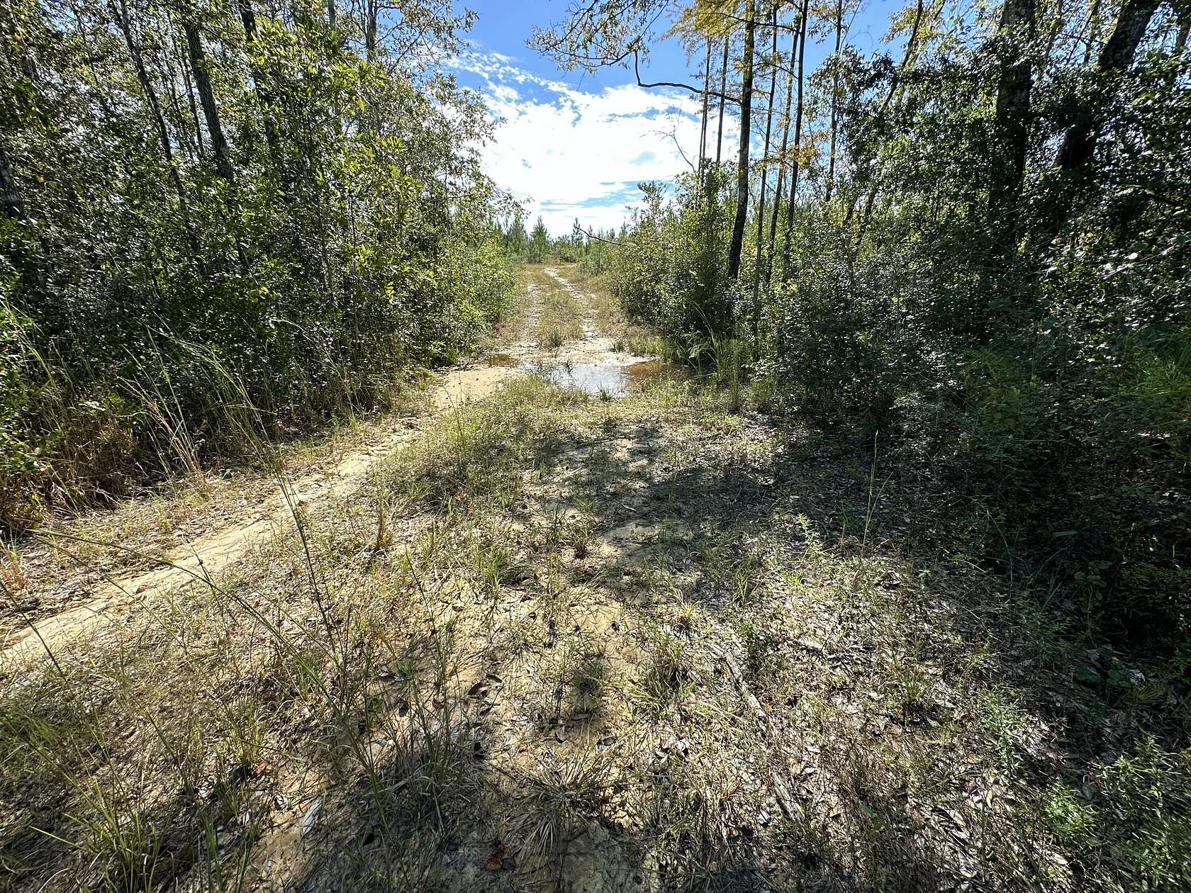 60.3 Acres of Recreational Land & Farm for Sale in Laurel Hill, Florida