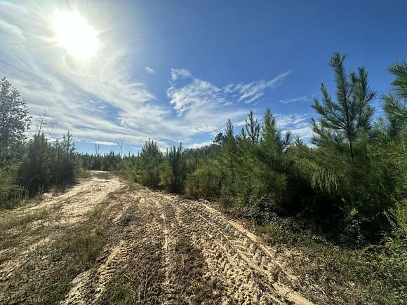 60.75 Acres of Recreational Land & Farm for Sale in Laurel Hill, Florida