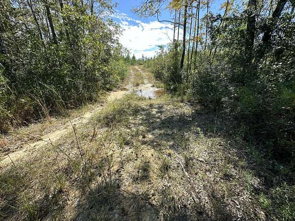 60.3 Acres of Recreational Land & Farm for Sale in Laurel Hill, Florida