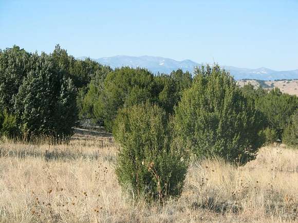 50.6 Acres of Recreational Land for Sale in Pueblo, Colorado