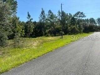 0.23 Acres of Land for Sale in Citrus Springs, Florida