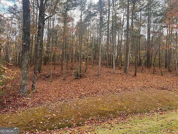 1 Acre of Residential Land for Sale in Ellijay, Georgia