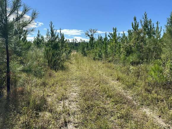 10 Acres of Recreational Land & Farm for Sale in Laurel Hill, Florida