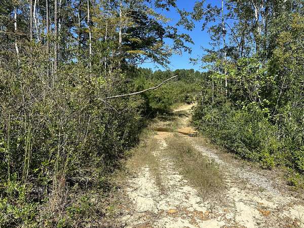 10 Acres of Land for Sale in Laurel Hill, Florida