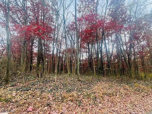 1.5 Acres of Land for Sale in Bloomingdale, Ohio