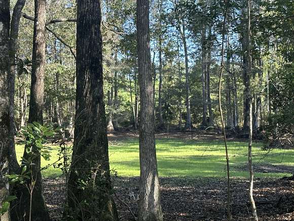 238.2 Acres of Recreational Land & Farm for Sale in Laurel Hill, Florida