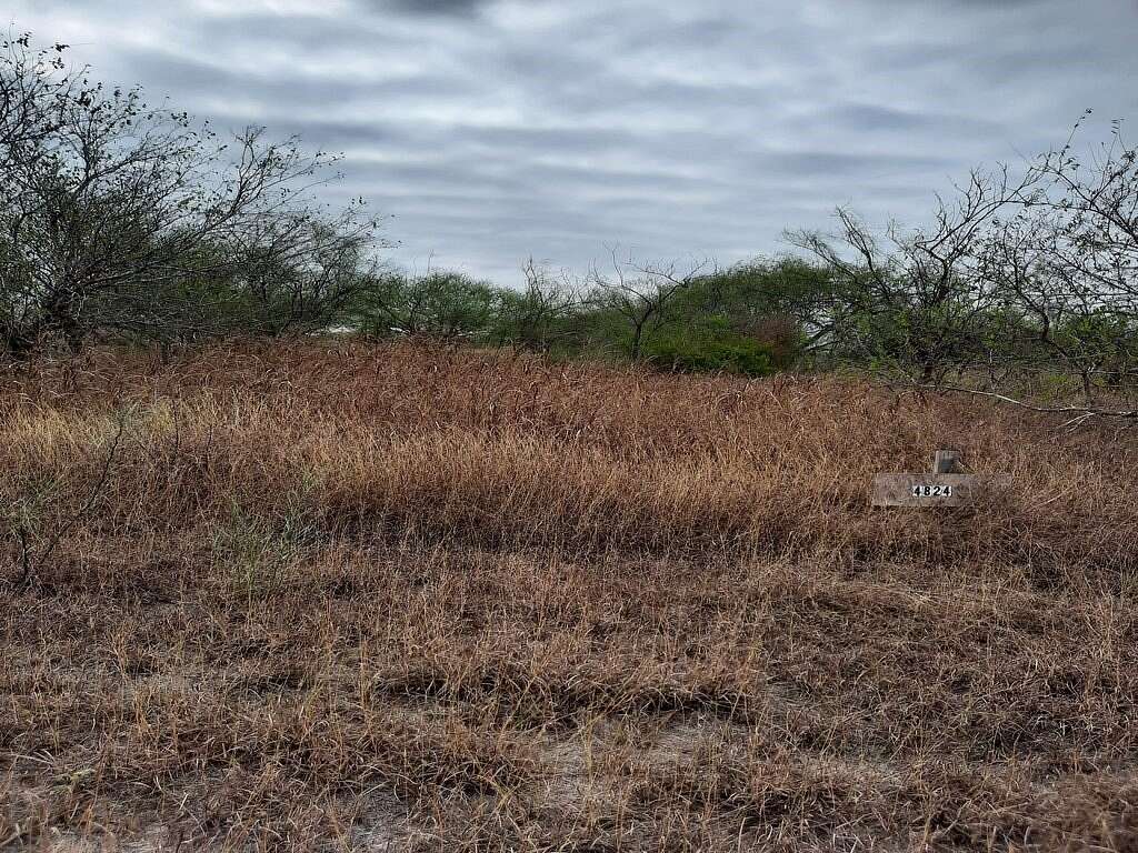 Land for Sale in Robstown, Texas