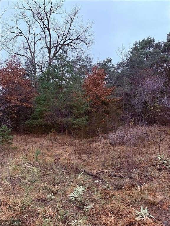 10 Acres of Residential Land for Sale in Saint George, Minnesota