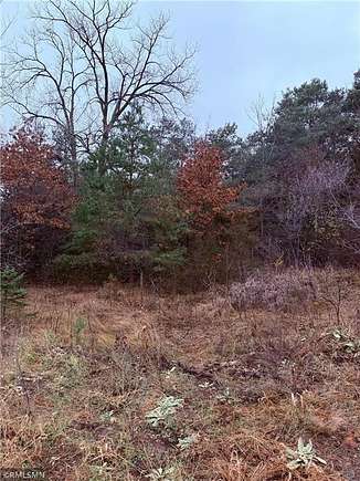 10 Acres of Residential Land for Sale in Saint George, Minnesota