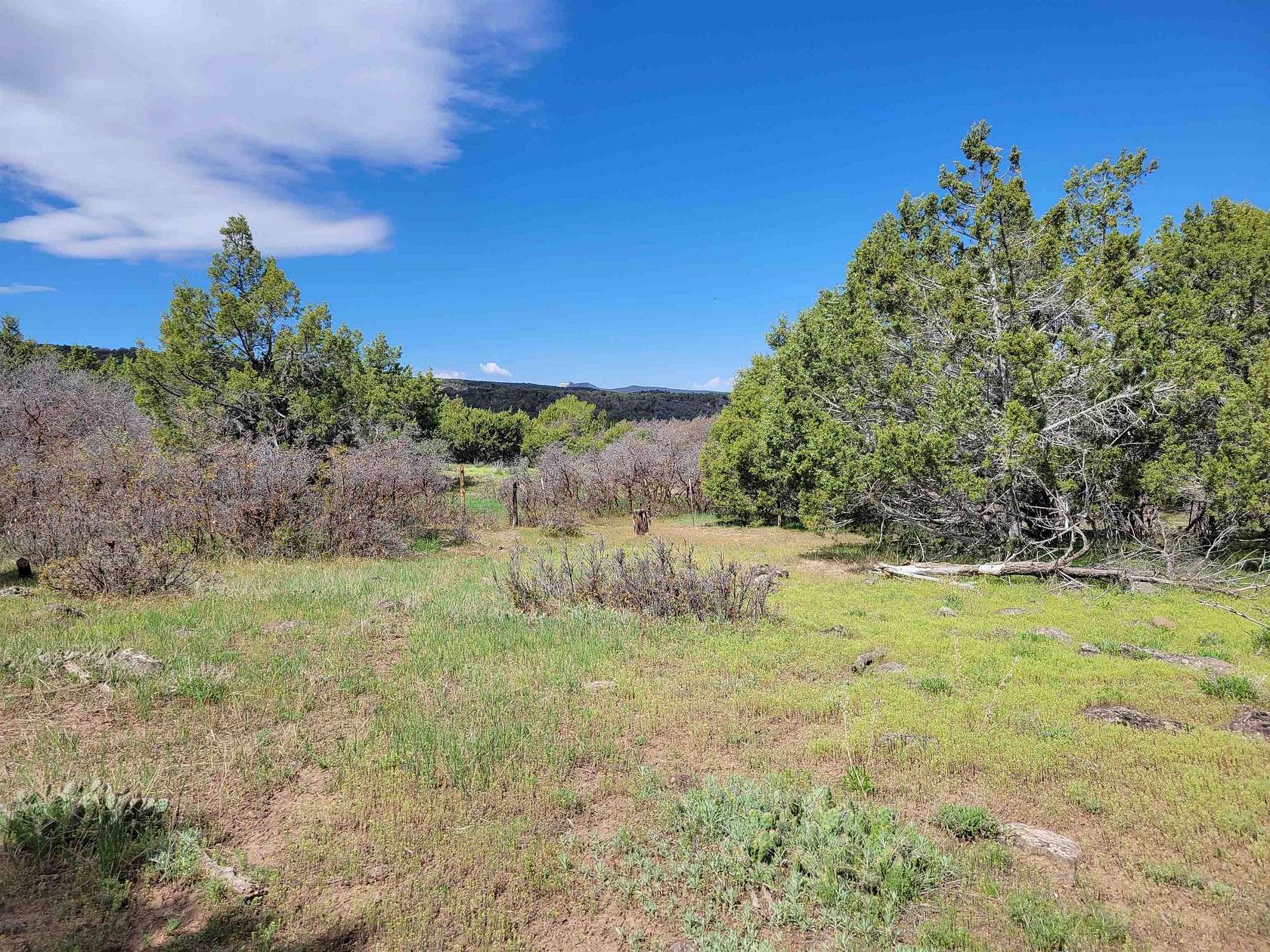 20.5 Acres of Land for Sale in Mesa, Colorado