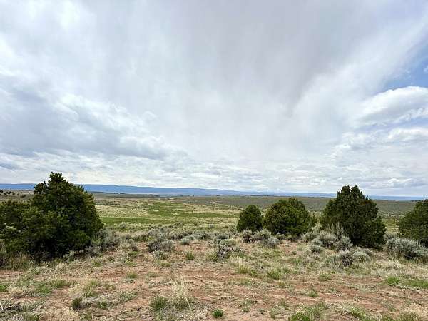39.5 Acres of Recreational Land & Farm for Sale in Glade Park, Colorado