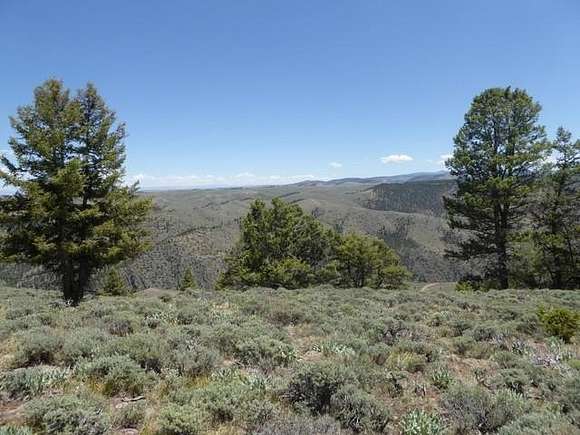 4 Acres of Residential Land for Sale in Powderhorn, Colorado