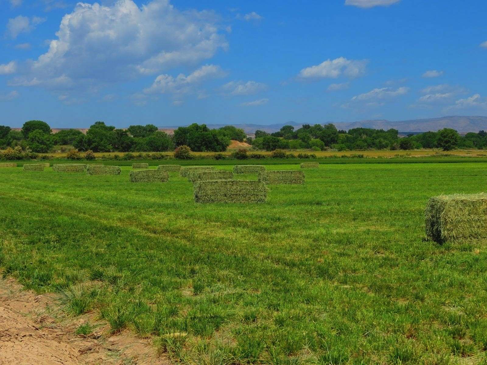 47 Acres of Agricultural Land for Sale in Mack, Colorado