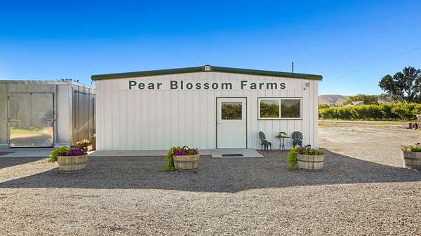 7.26 Acres of Improved Land for Sale in Palisade, Colorado