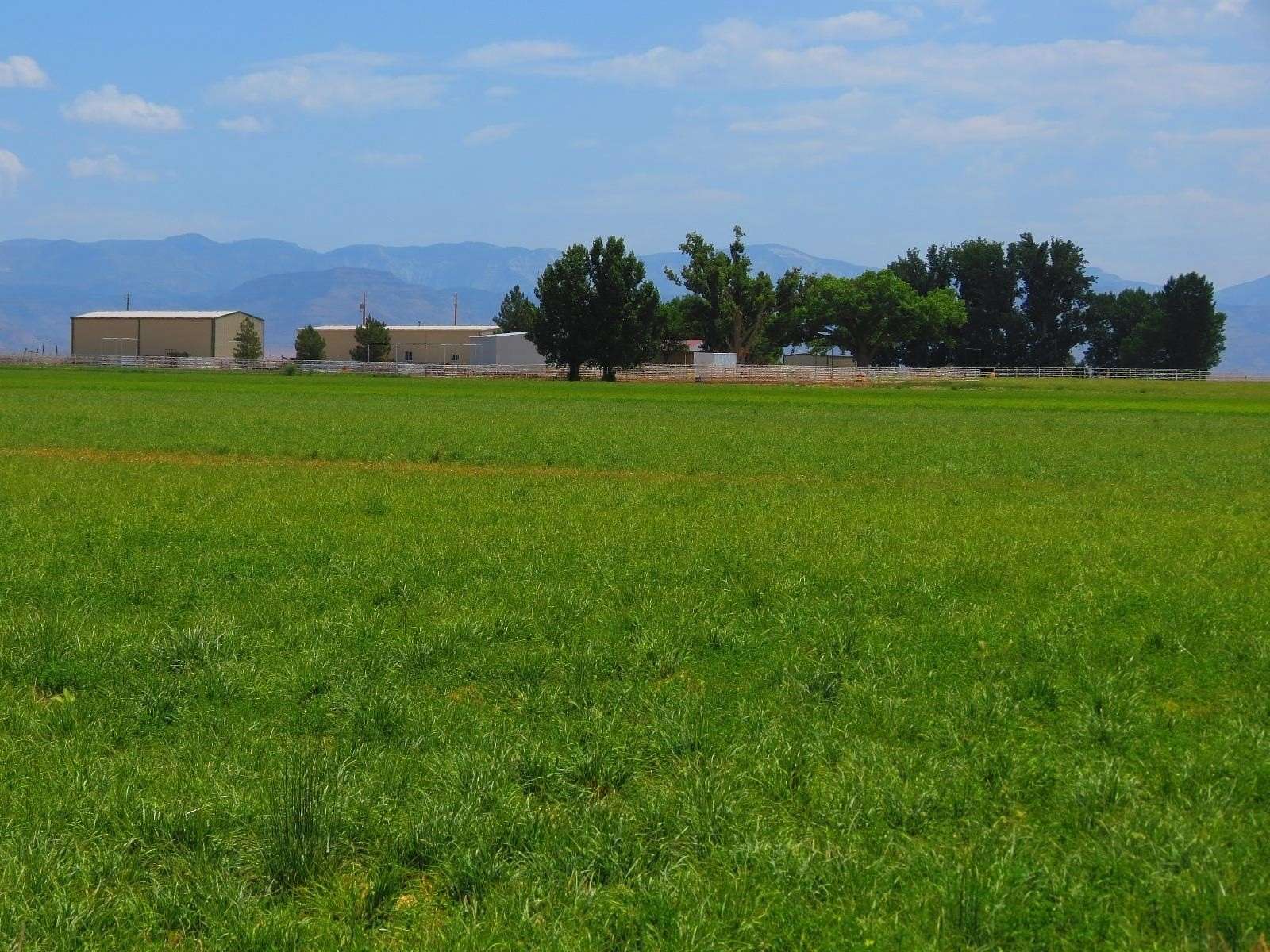 59.16 Acres of Agricultural Land with Home for Sale in Mack, Colorado