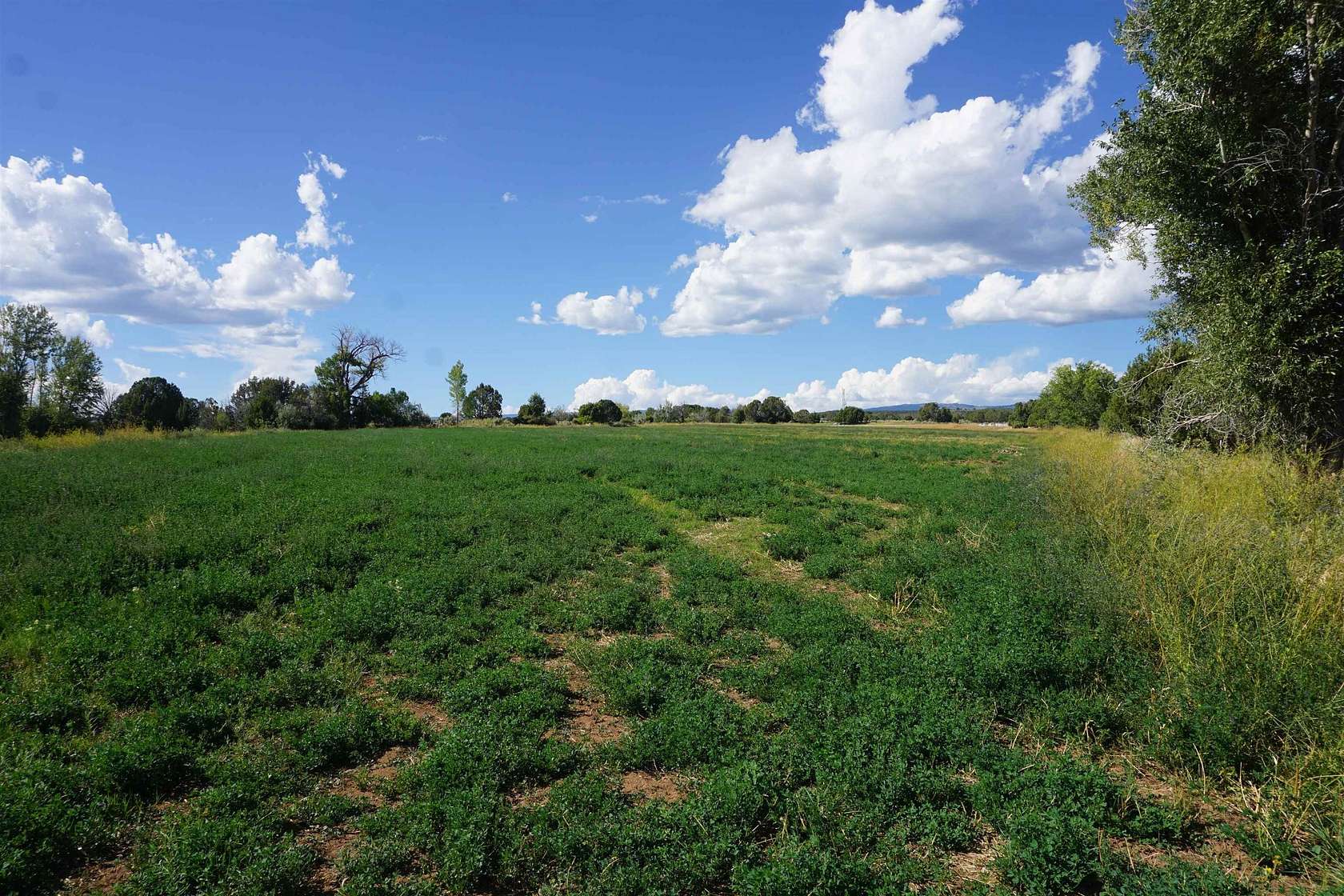 30.84 Acres of Land for Sale in Hotchkiss, Colorado