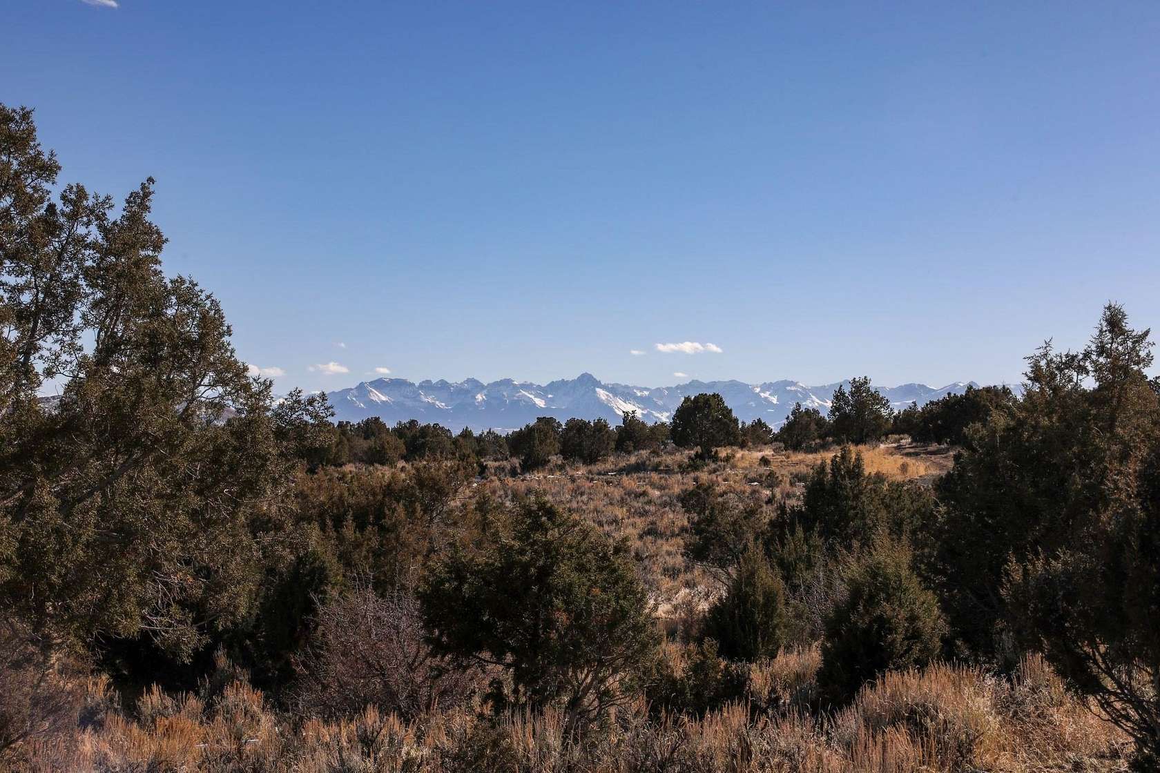 36.48 Acres of Land for Sale in Montrose, Colorado