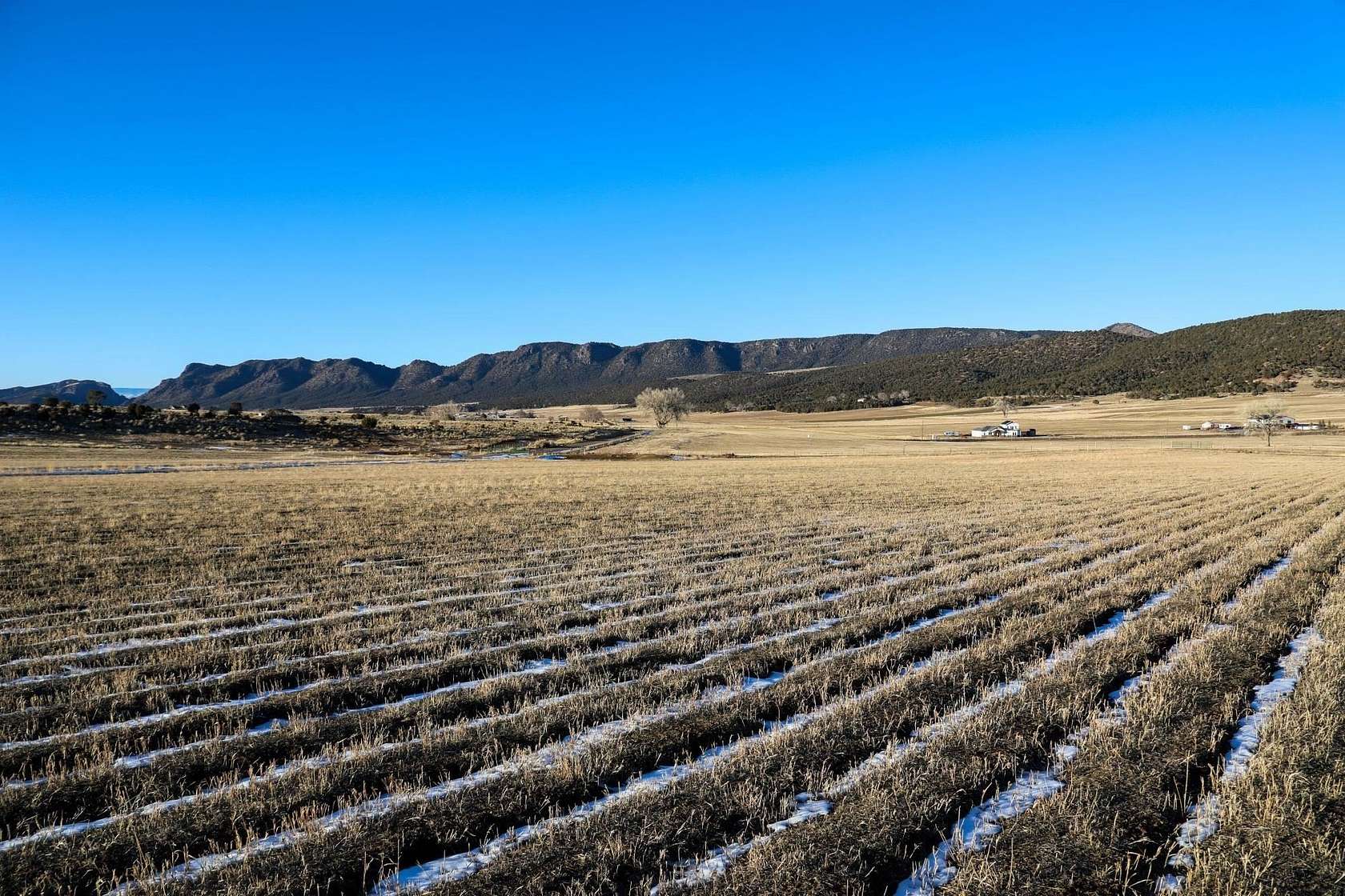 50.97 Acres of Land for Sale in Montrose, Colorado