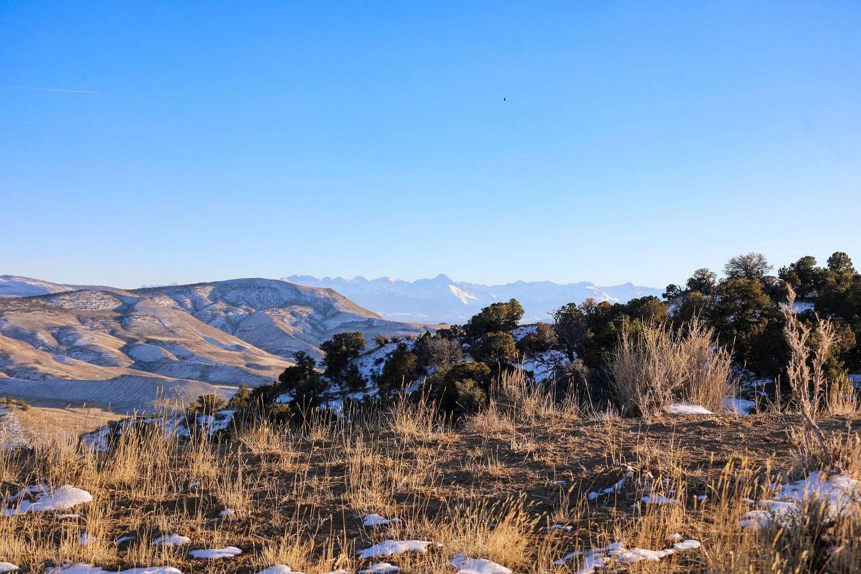 54.59 Acres of Land for Sale in Montrose, Colorado