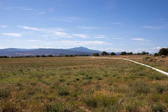 43 Acres of Recreational Land & Farm for Sale in Montrose, Colorado