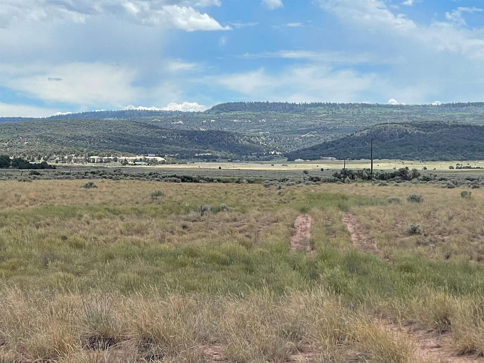 118 Acres of Agricultural Land for Sale in Glade Park, Colorado