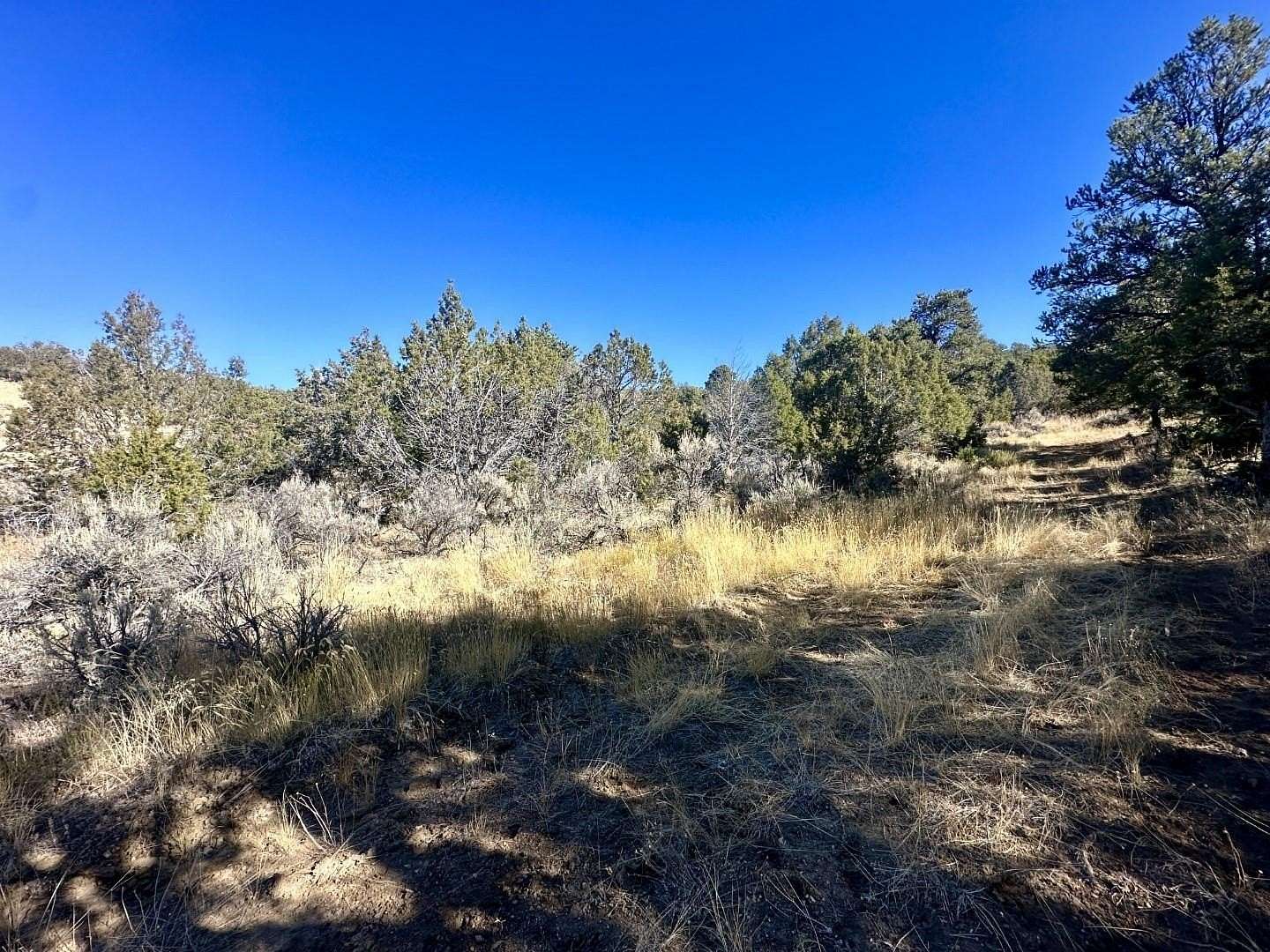 39 Acres of Land for Sale in Cedaredge, Colorado
