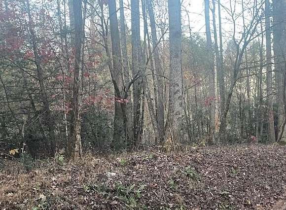 1 Acre of Residential Land for Sale in Cosby, Tennessee