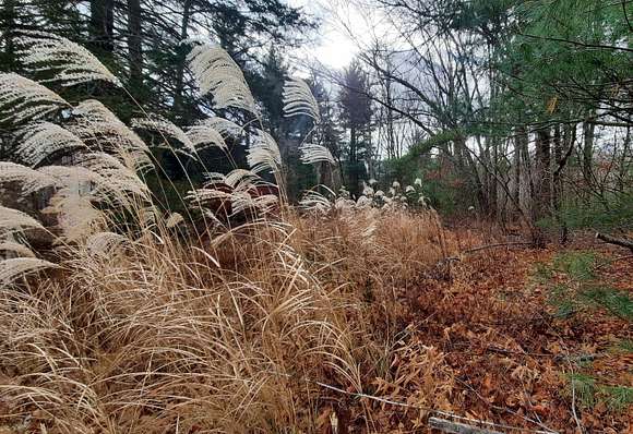 0.48 Acres of Residential Land for Sale in Thompson, Connecticut