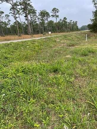 0.391 Acres of Land for Sale in Coden, Alabama