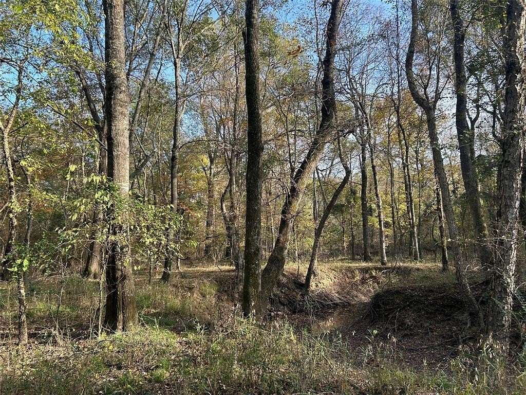 116 Acres of Recreational Land for Sale in Bogata, Texas