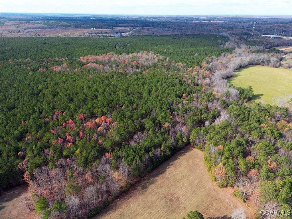 95 Acres of Land for Sale in Ruther Glen, Virginia