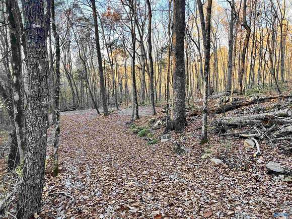 17.7 Acres of Recreational Land for Sale in Grant, Alabama